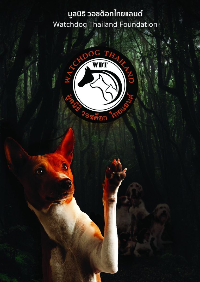 The Story of Watchdog Thailand Foundation
