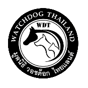 Watchdog Thailand Foundation